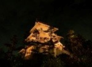 オレンジライトアップされた騎西城