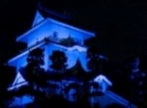 青くライトアップされた騎西城