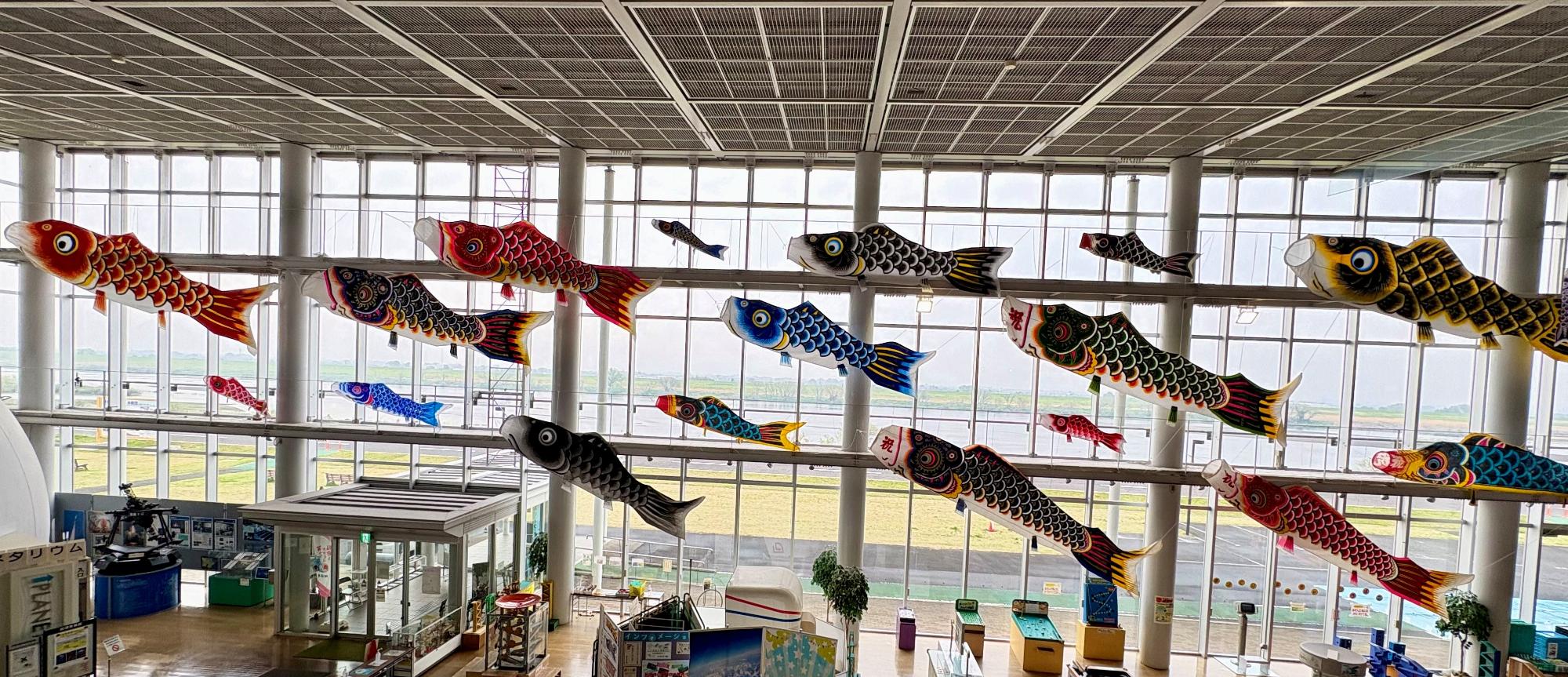 加須未来館「こいのぼり水族館」