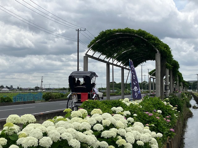 人力車乗車体験の様子