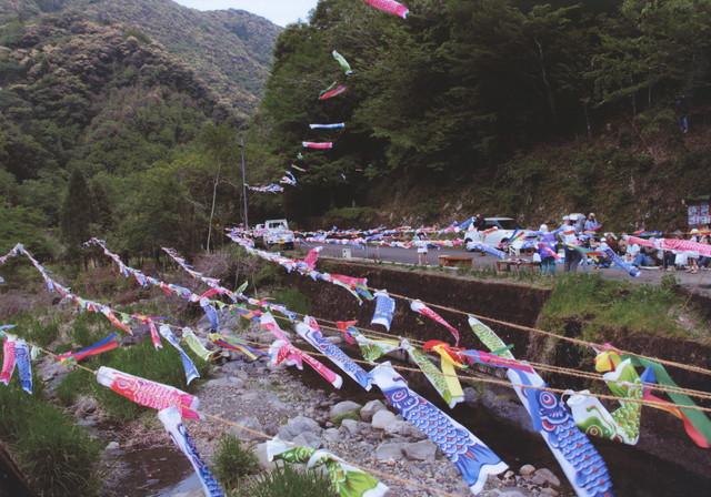 全国こいのぼり写真集 宮崎県 加須市