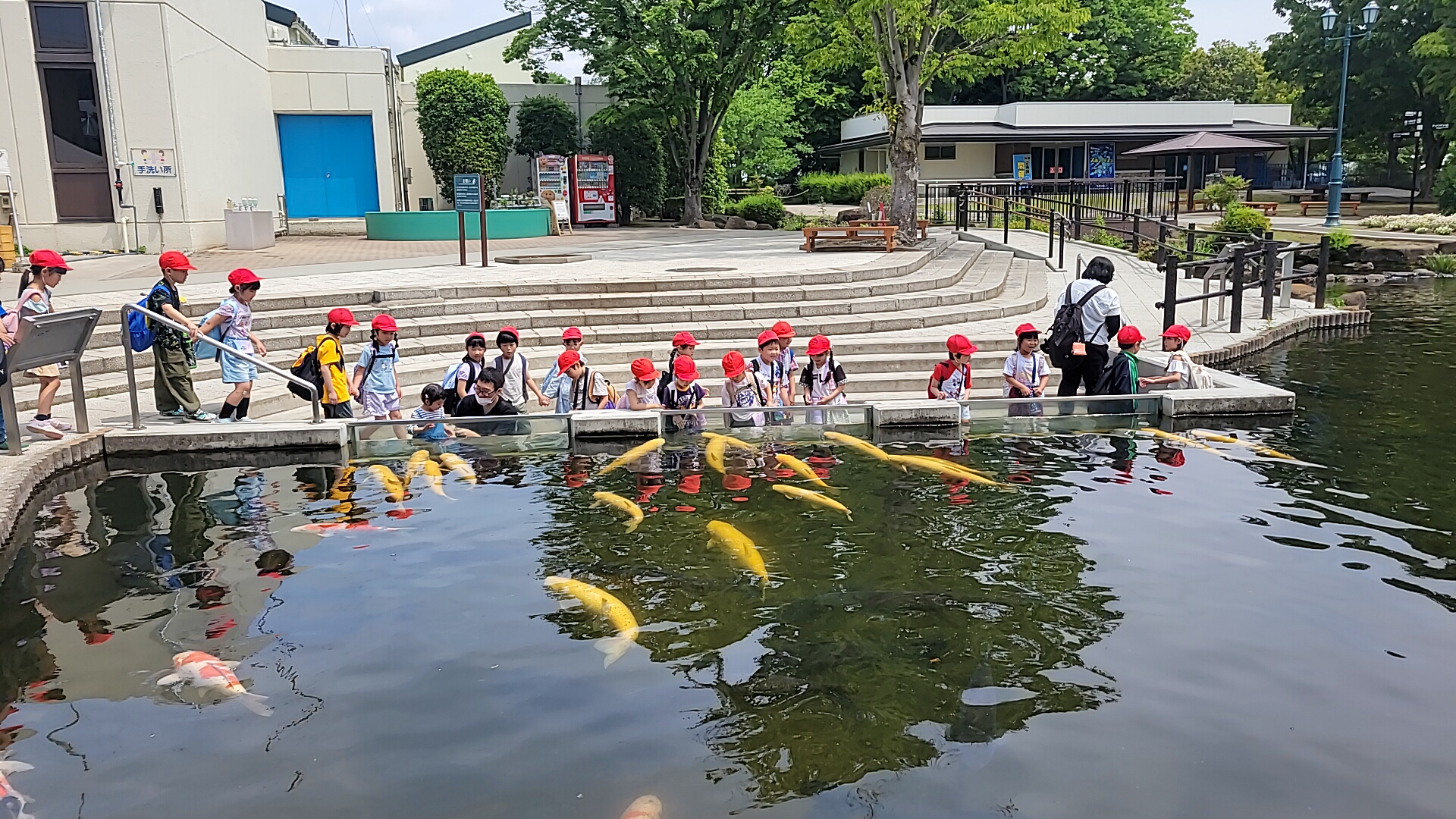 R7 1年生の遠足1