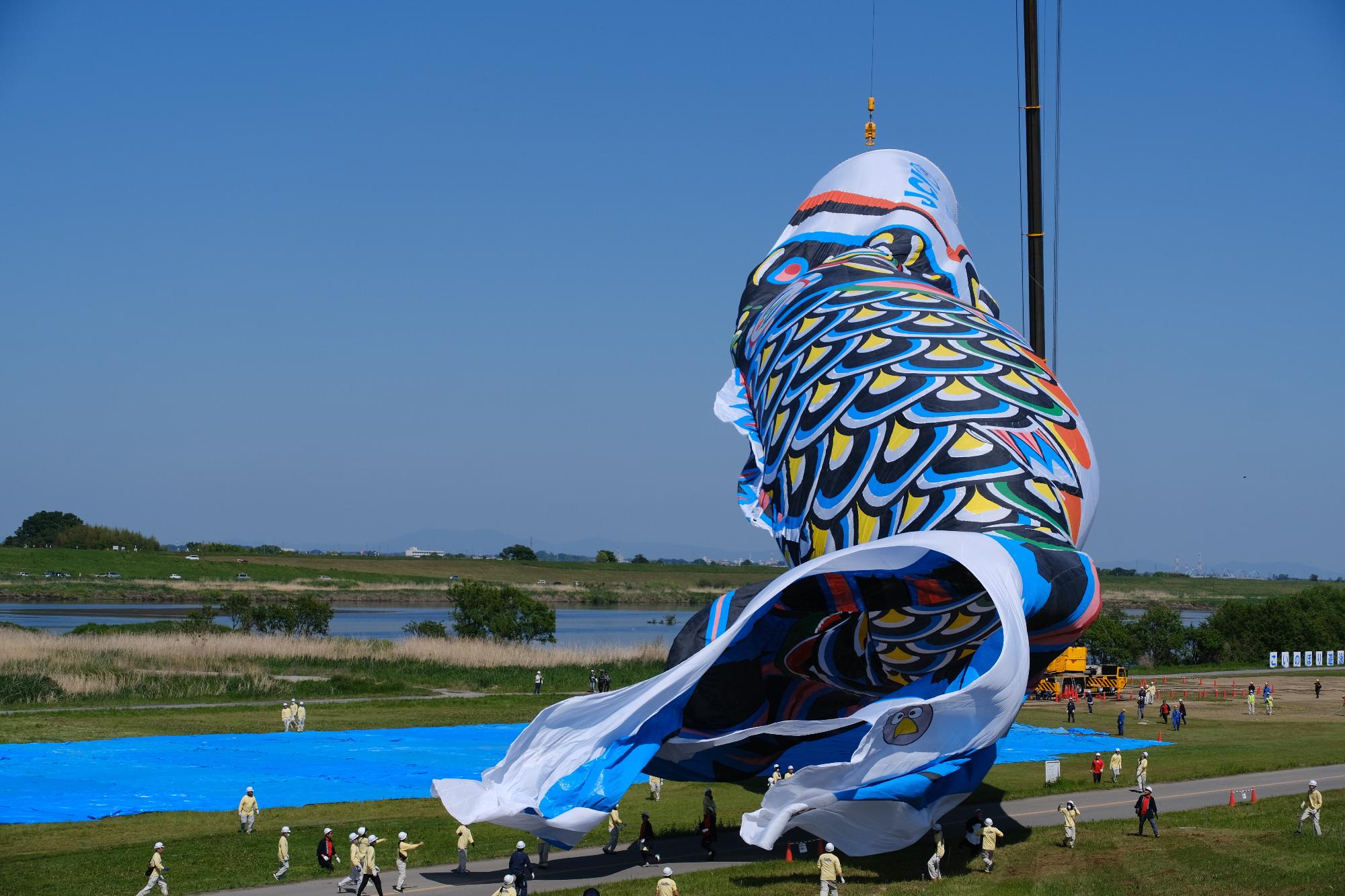 ジャンボこいのぼり