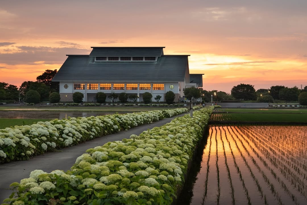 Masakaduuuuuさんの作品