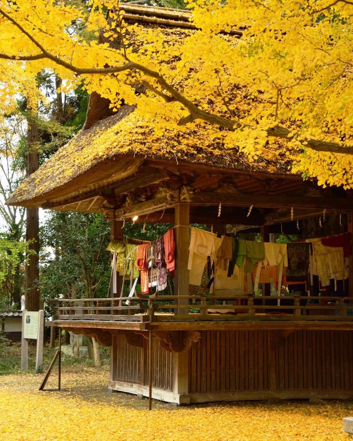 tokinosasayakiさんの作品