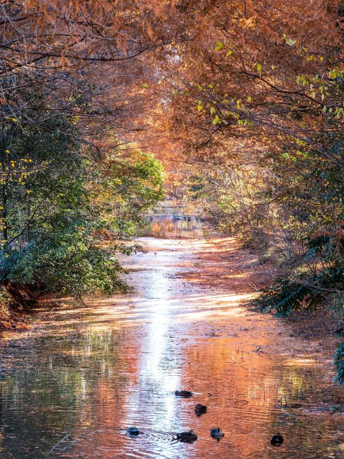 aochan_pic22さんの作品