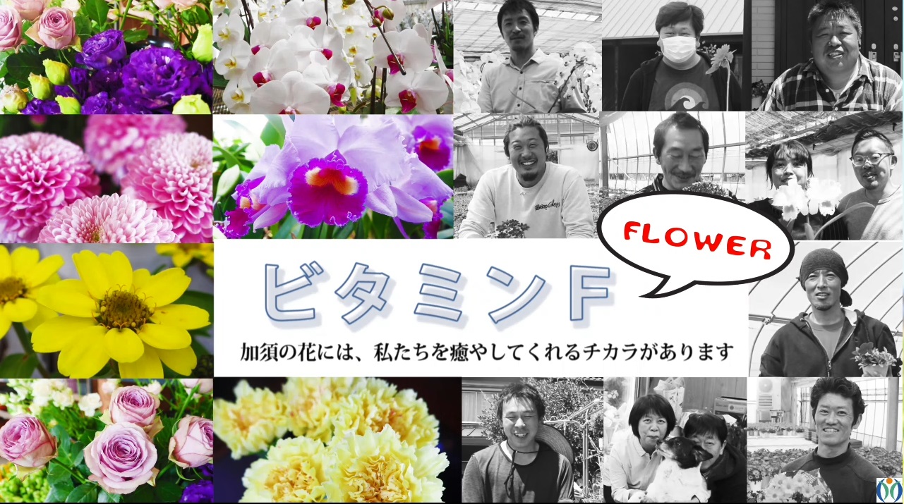 【ビタミンF】加須の花には、私たちを癒してくれるチカラがあります