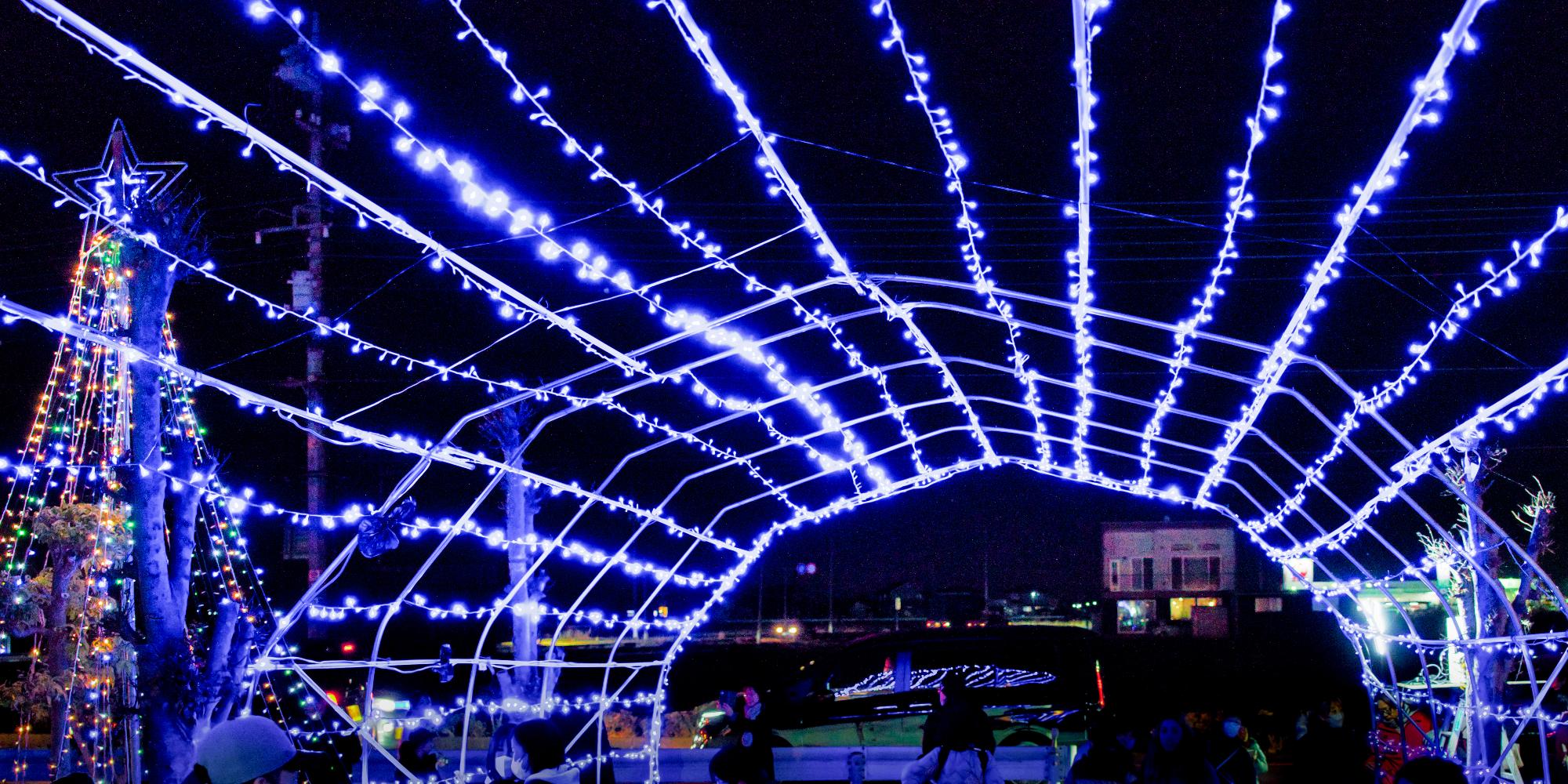 イルミネーション大作戦