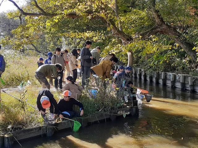 水生生物観察会の様子