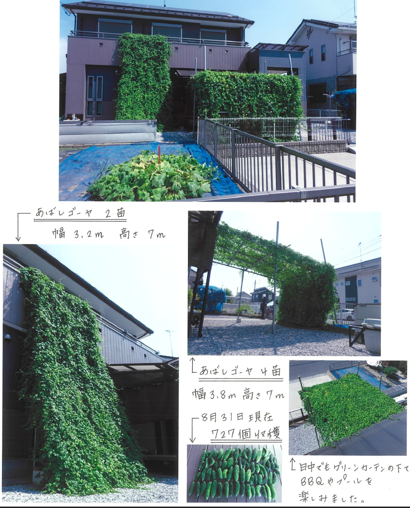 岡様邸グリーンカーテン写真