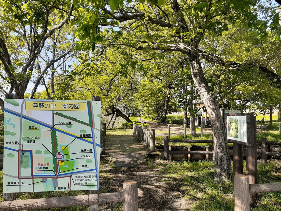 うきや橋