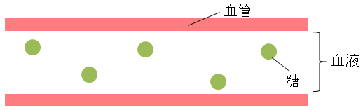 通常の血管