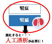 腎臓の血管が狭窄すると腎症を引き起こします　悪化すると人工透析が必要となります