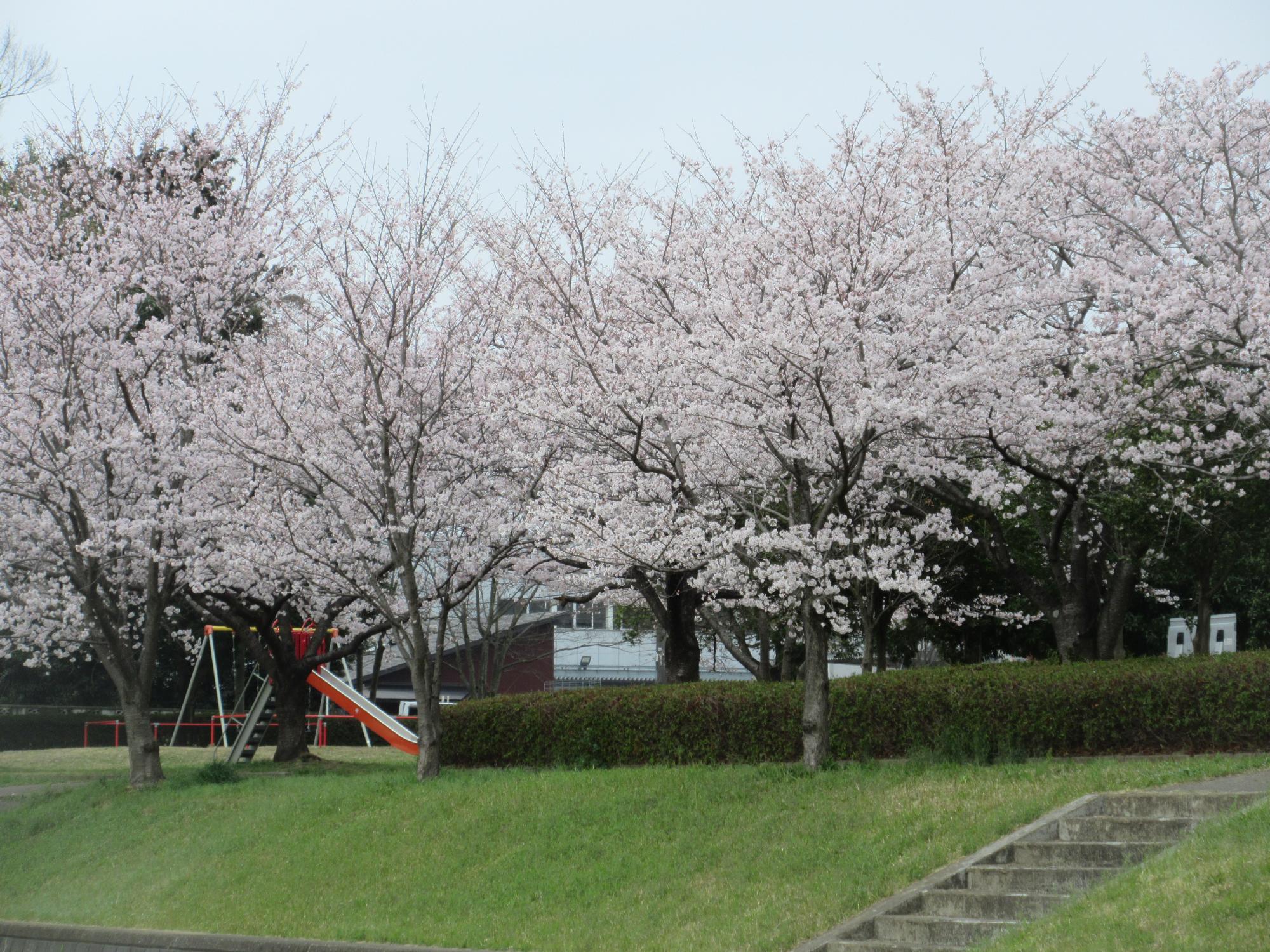 豊野台公園（豊野台二丁目：マップNo.17）の様子