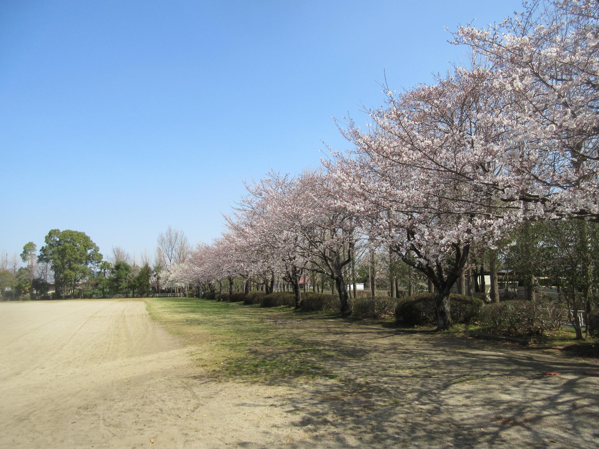 大利根運動公園