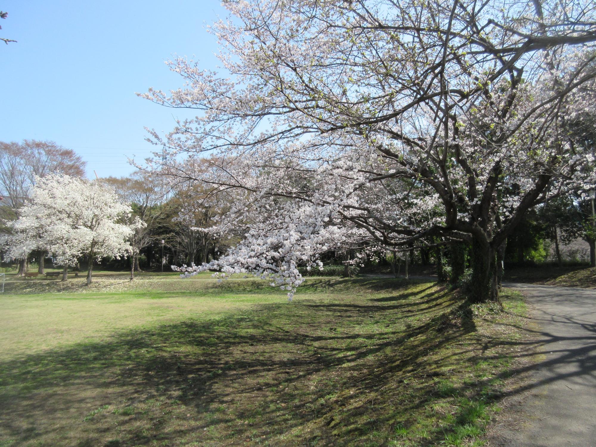 加須北部公園