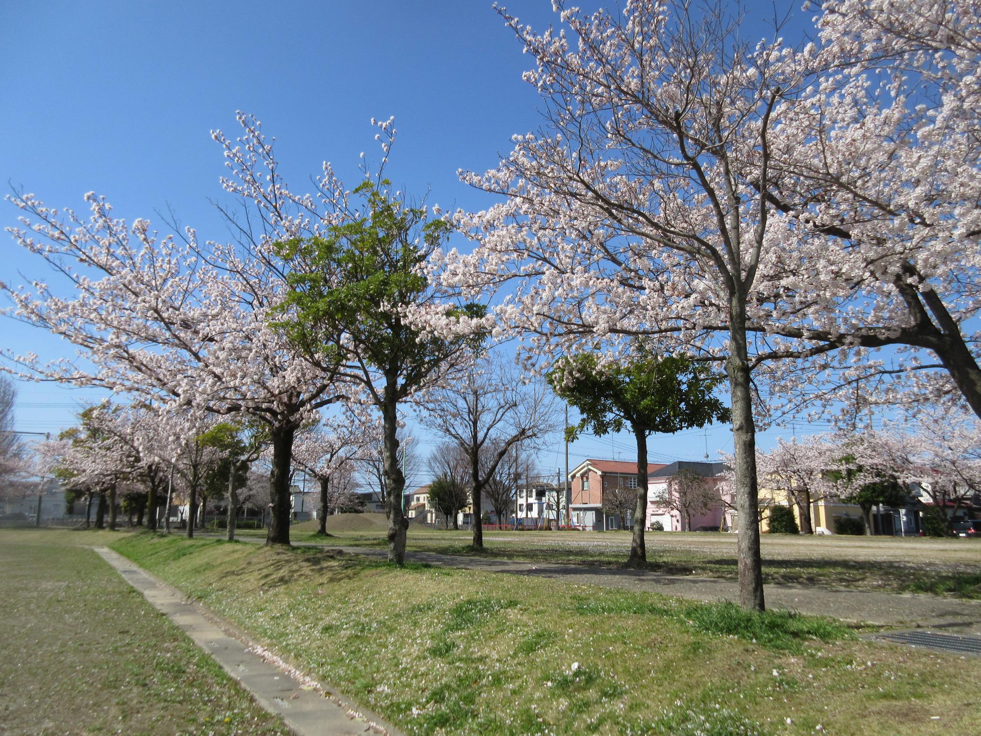 久下公園（久下一丁目:マップNo.10）