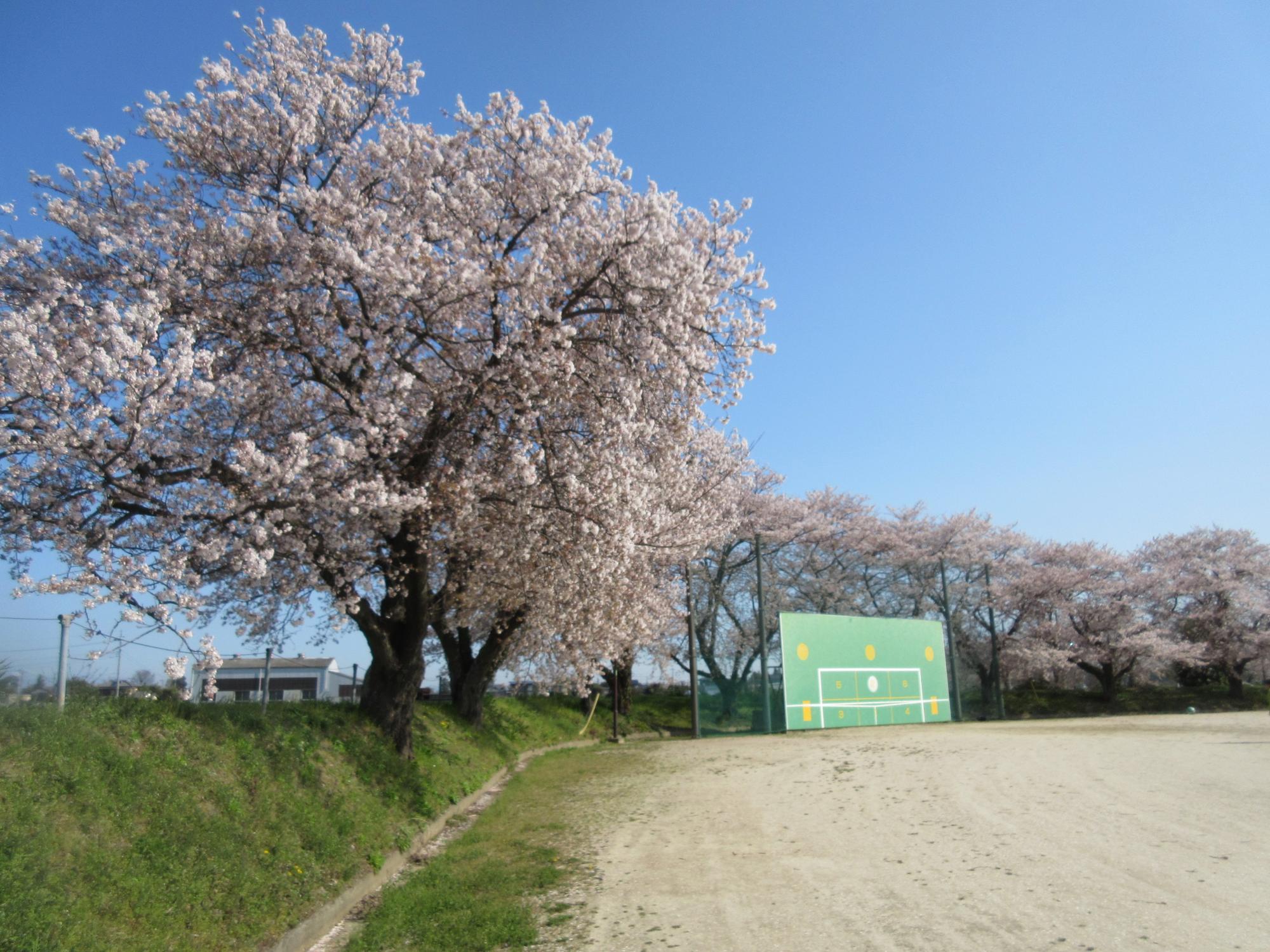 加須市民運動公園（下三俣:マップNo.28）