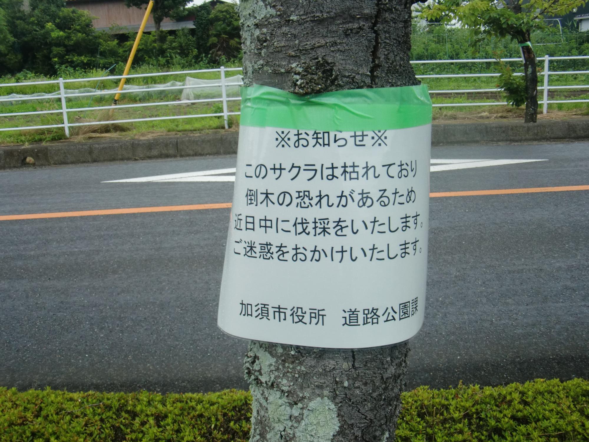 樹木伐採のお知らせの貼り紙