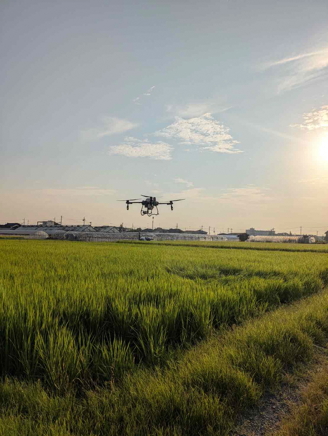 7月25日 防除の様子1