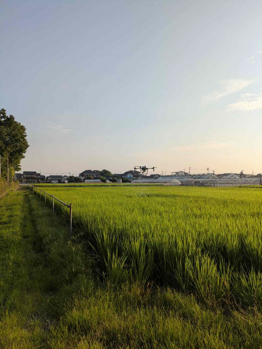 7月25日 防除の様子2