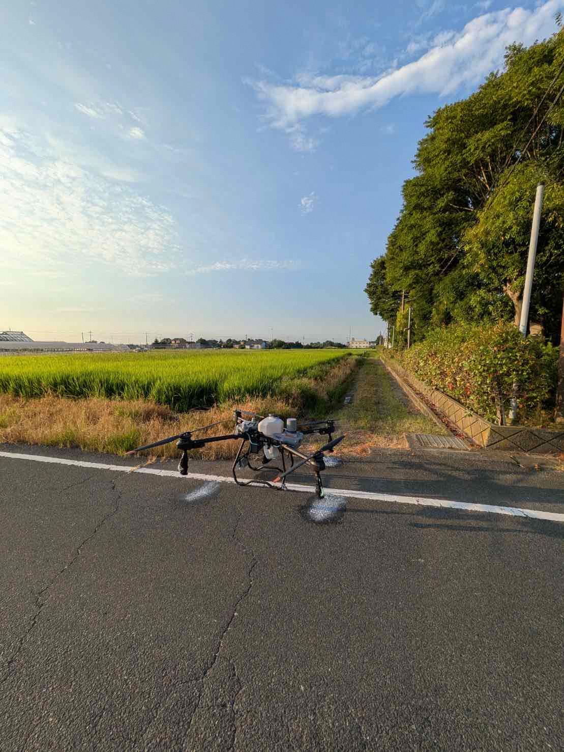 7月25日 防除の様子3