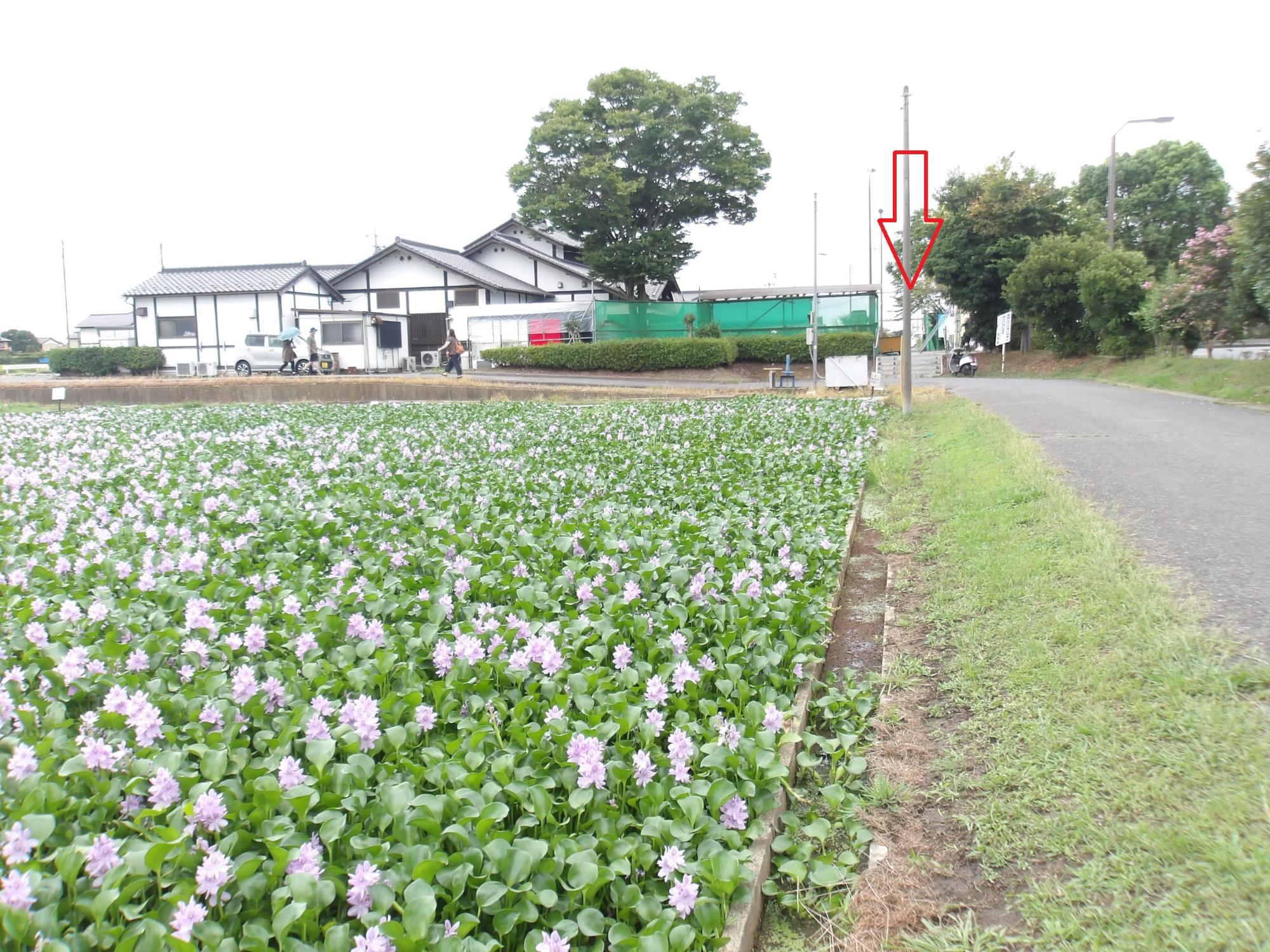 道の駅出入口矢印付