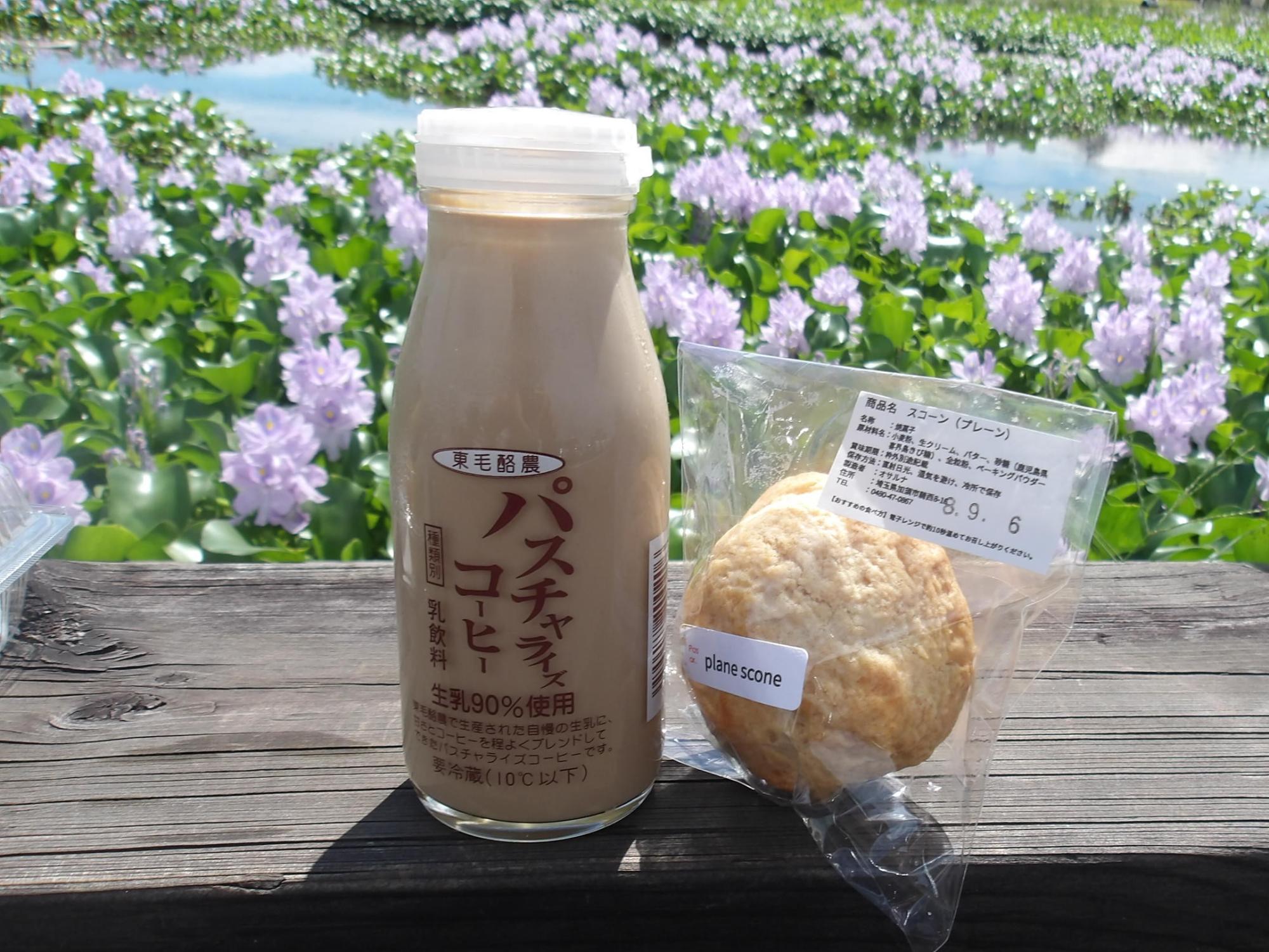 ホテイアオイとコーヒー牛乳とスコーン