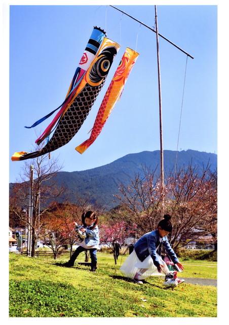 全国こいのぼり写真集 愛媛県 加須市