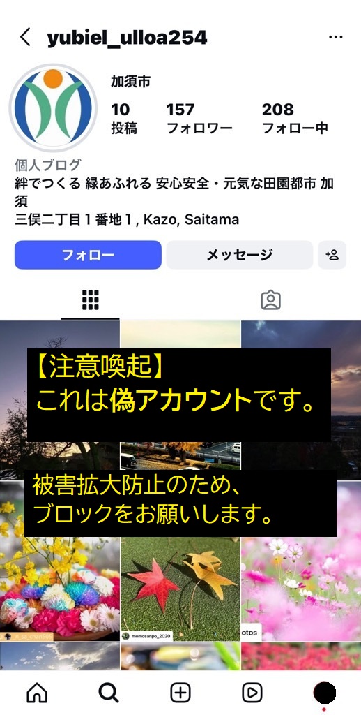 偽アカウントのプロフィール画像