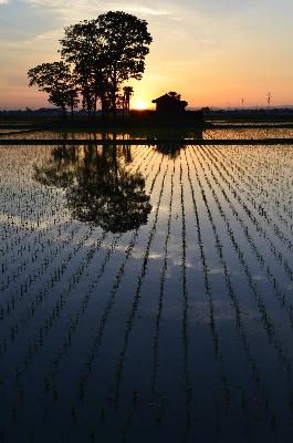 北川辺夕景