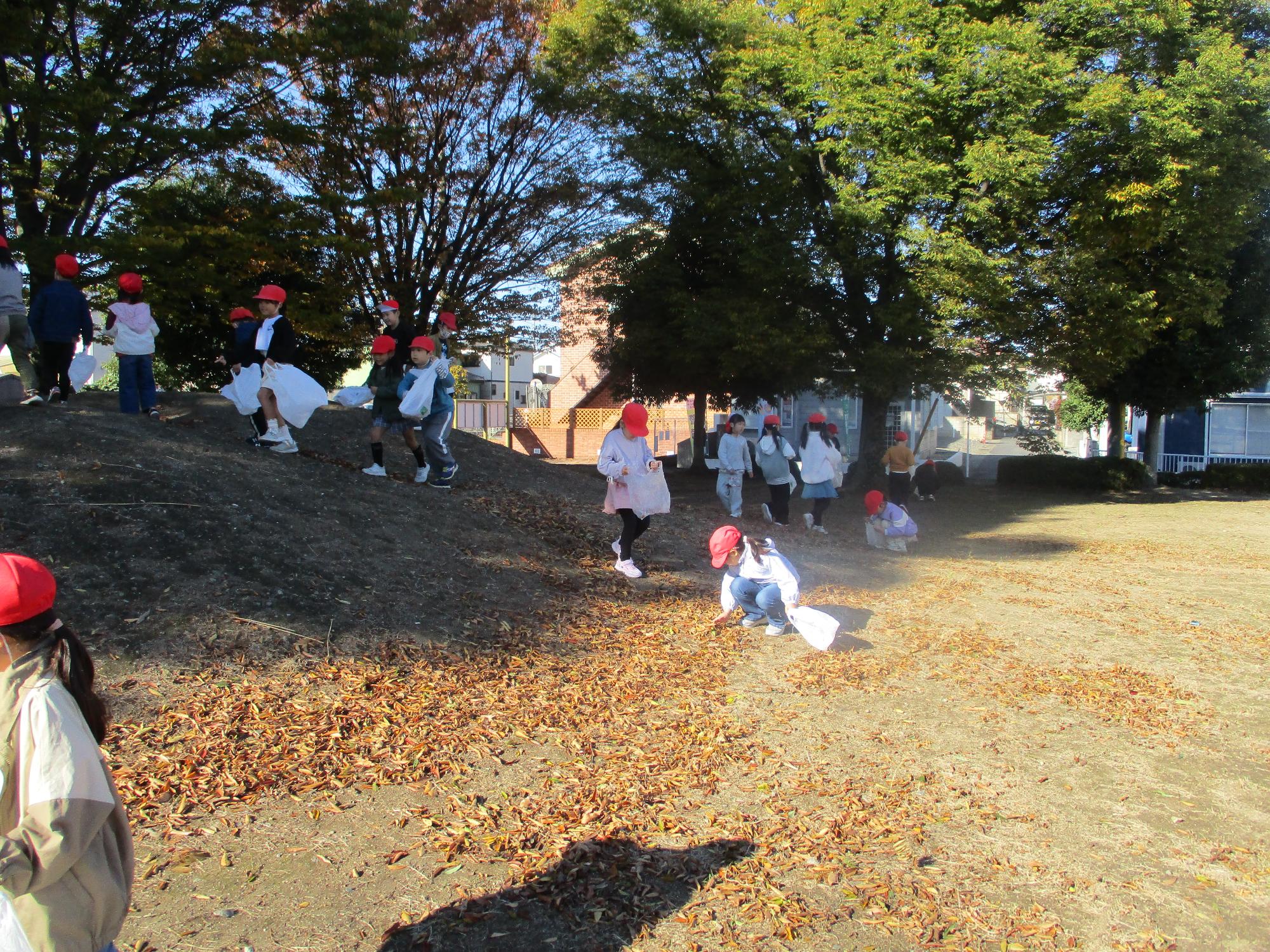 R7 1年生公園探検