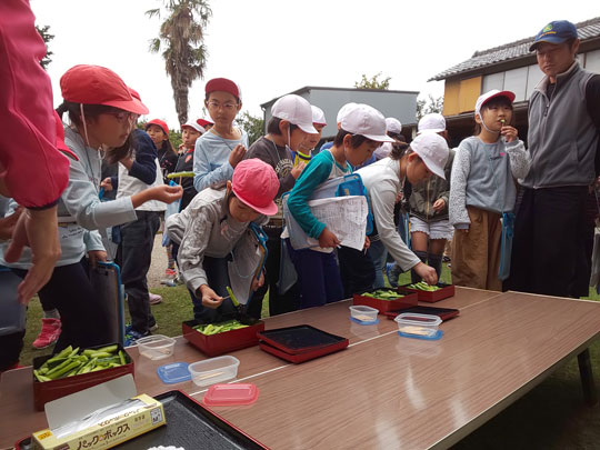 3年生きゅうり農家見学