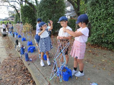 9月11日 アサガオリース作り1