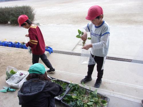12月11日 あおわかマーケット1