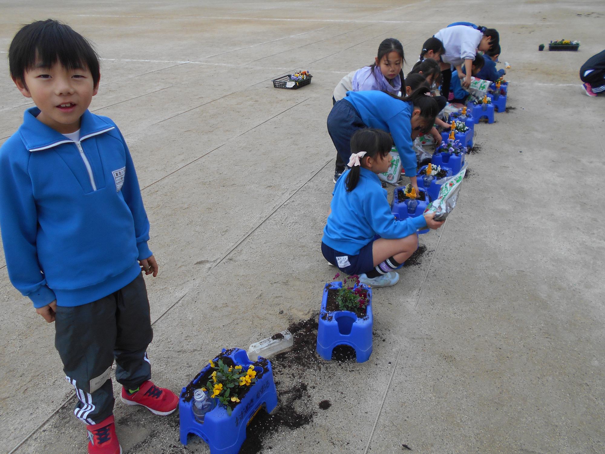 12月11日 ビオラ植え4