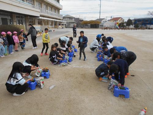 12月11日 ビオラ植え5