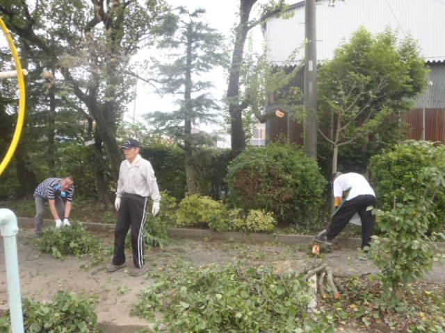 学校応援団の男性が校内の木々を剪定している写真