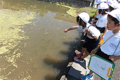 まちたんけんの様子1