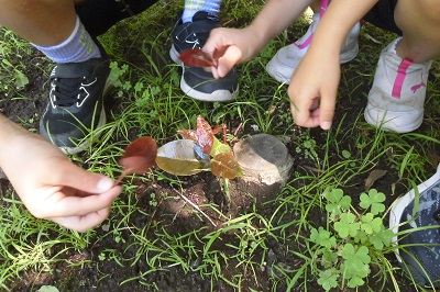 まちたんけんの様子3