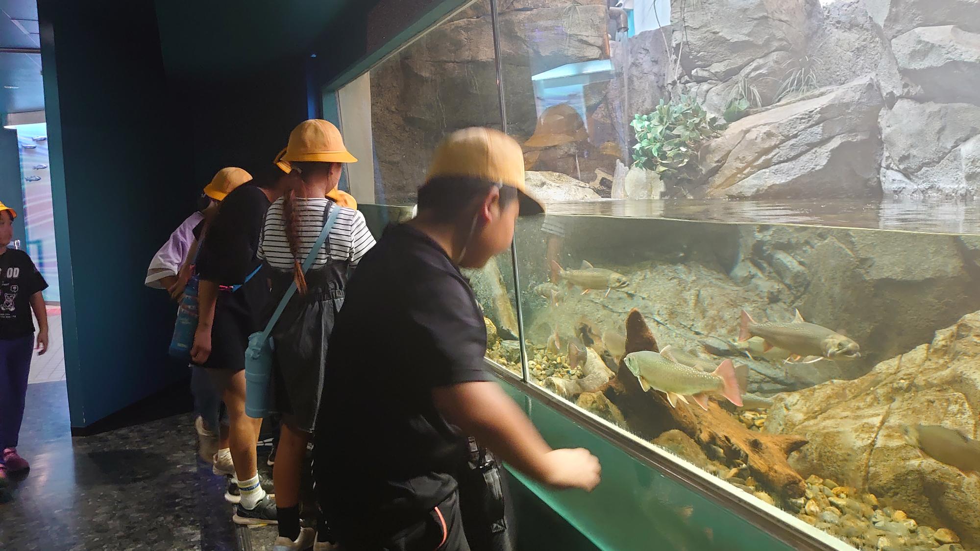 水族館