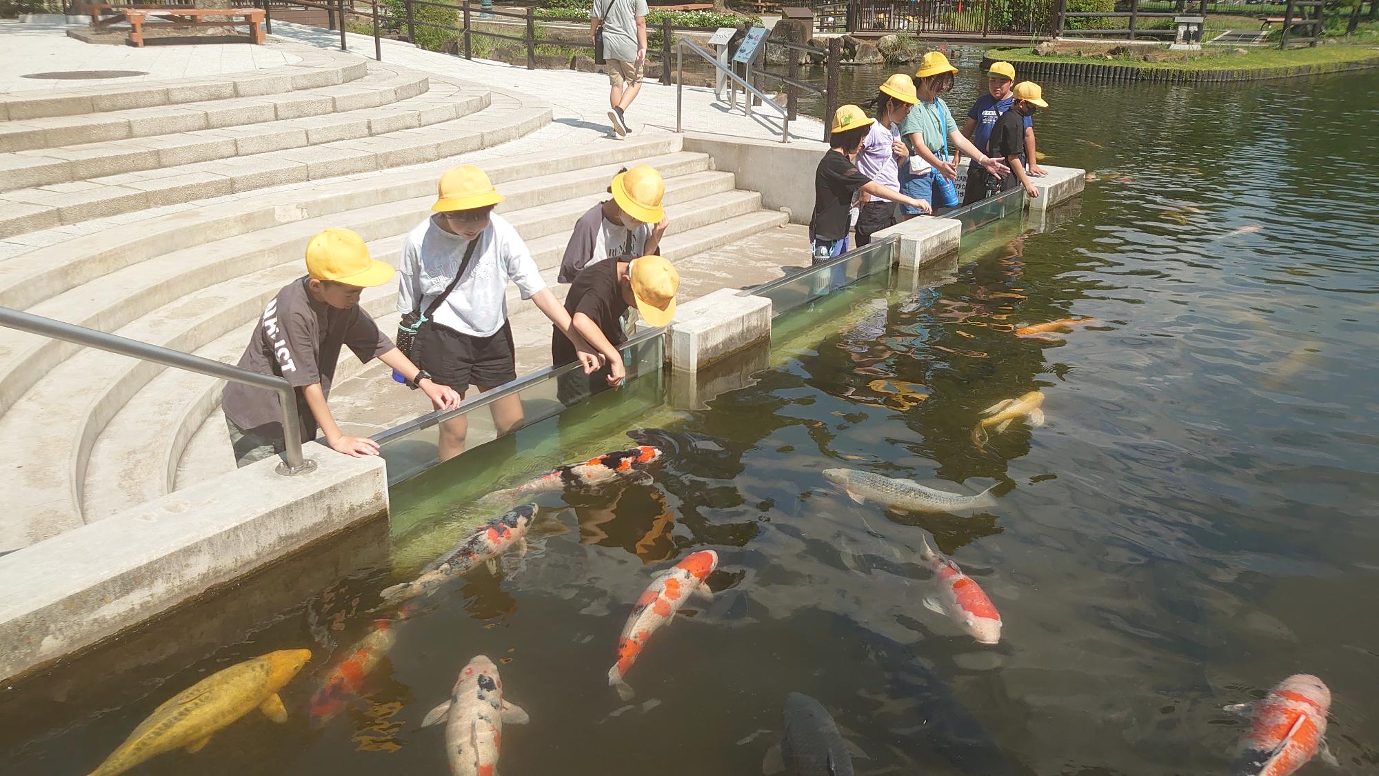 水族館3