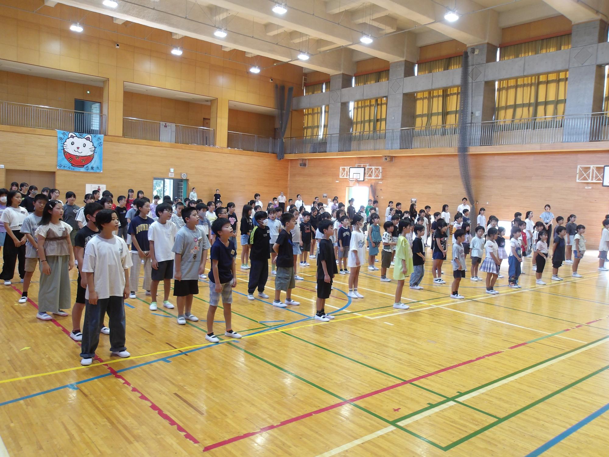 R5 環境学習 野鳥