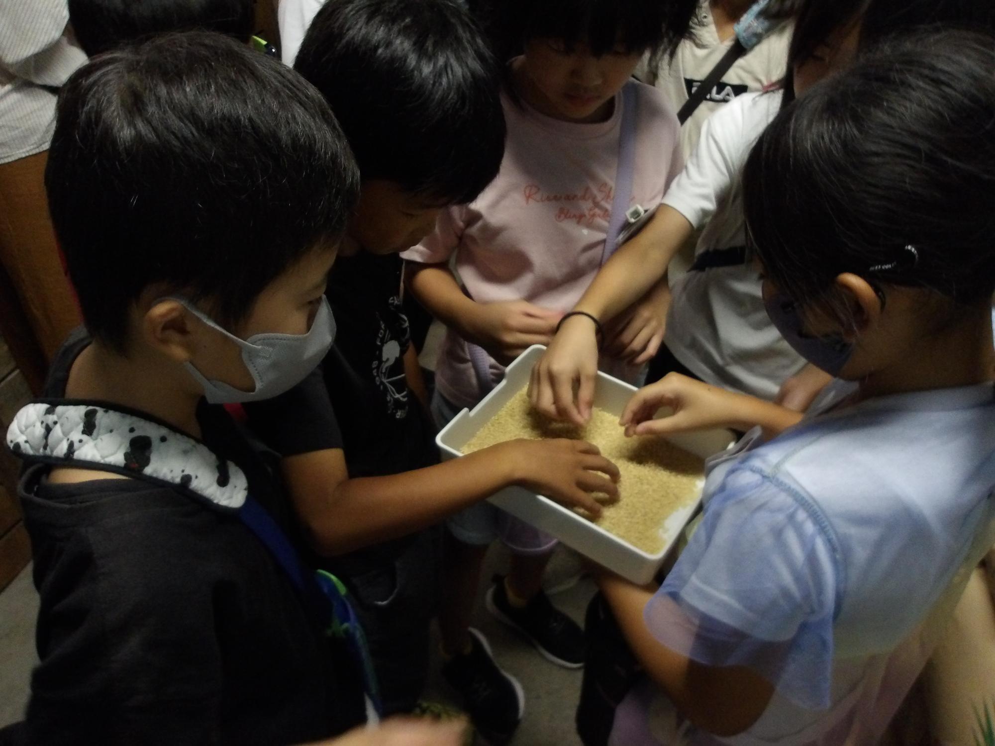 R5 5年社会科見学1