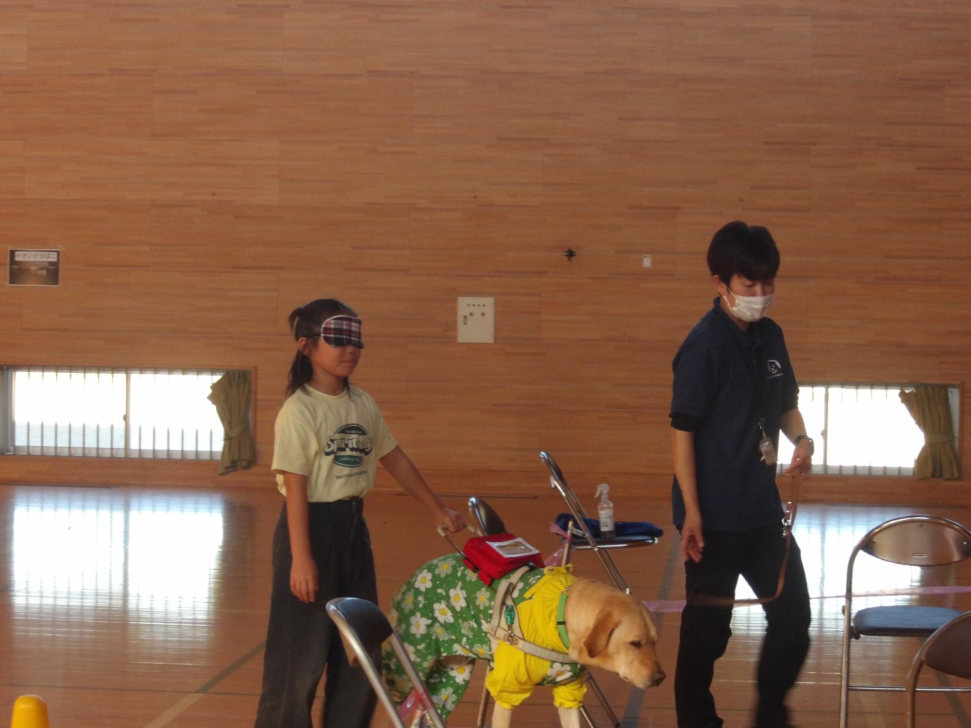 R5 盲導犬体験学習2