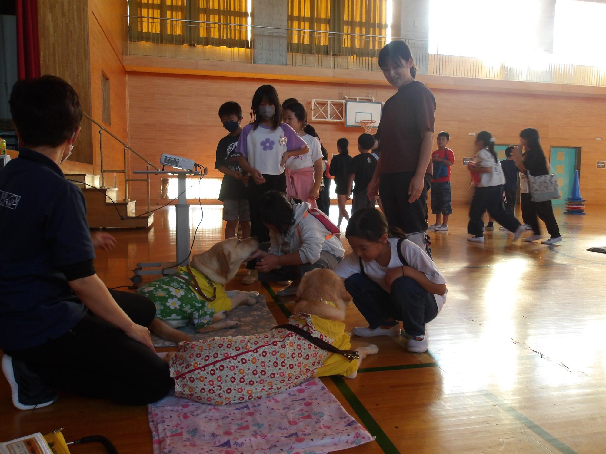 R5 盲導犬体験学習3