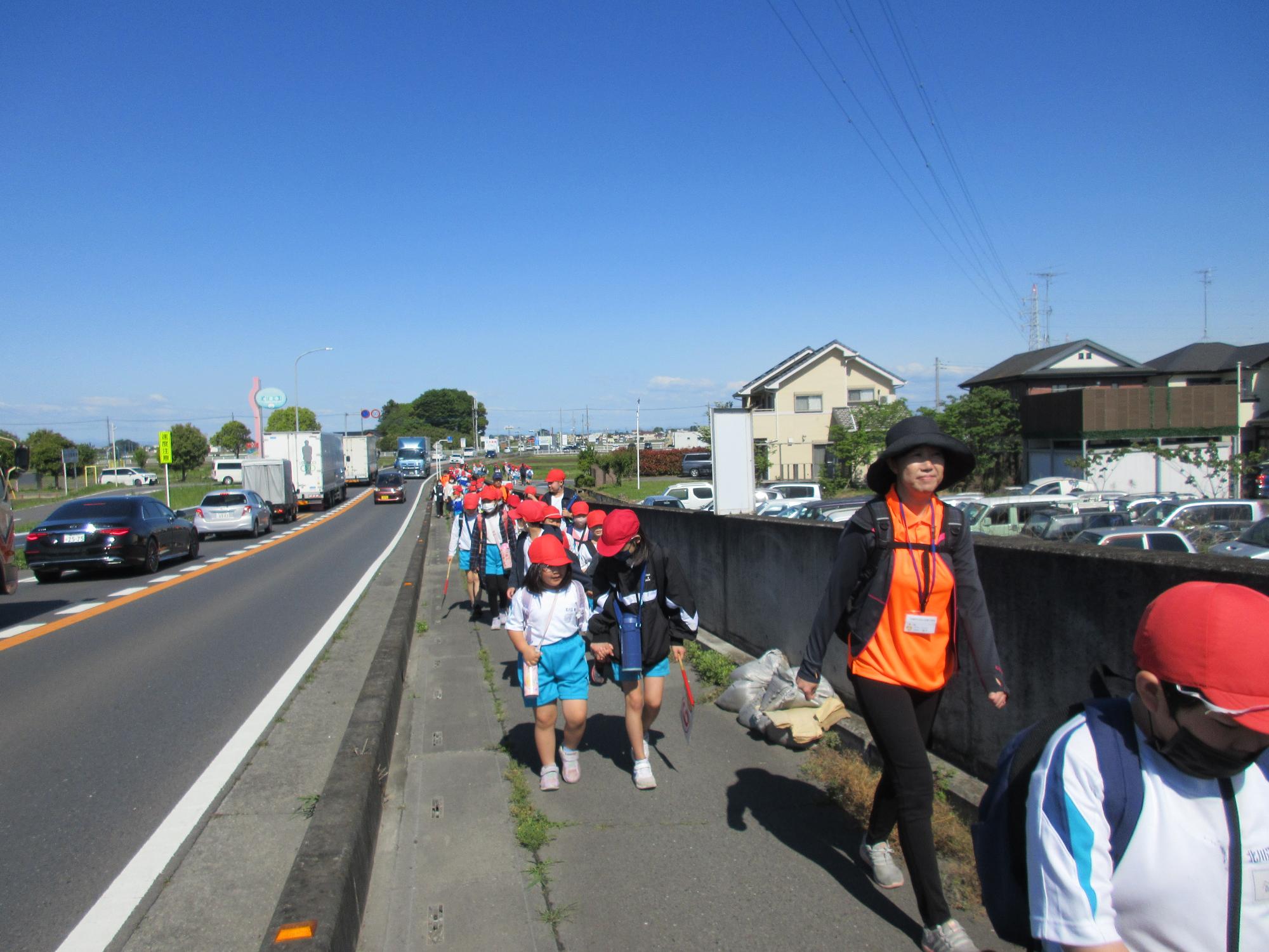 全校徒歩遠足 新三国橋を渡り始めました