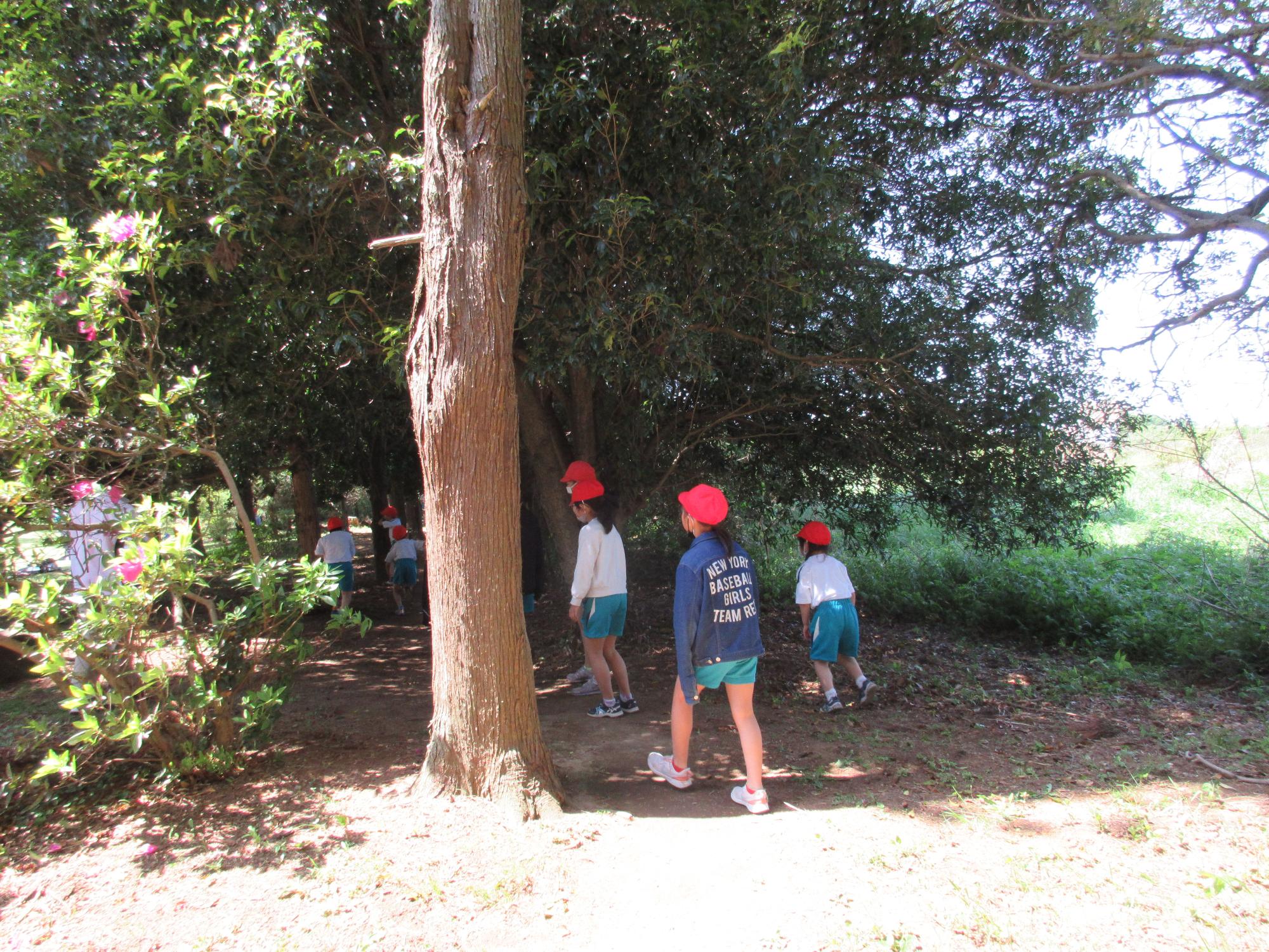 全校徒歩遠足 かくれんぼ