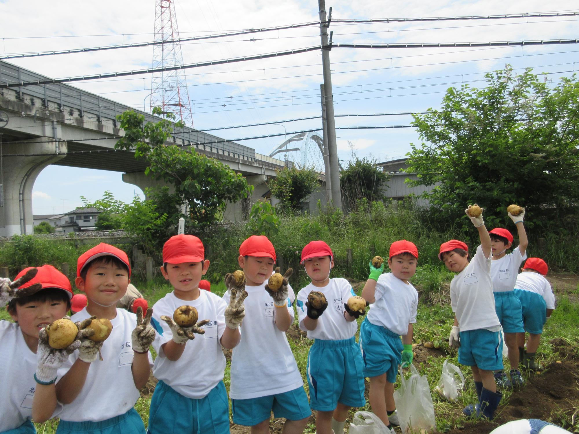 R5  ジャガイモほり2