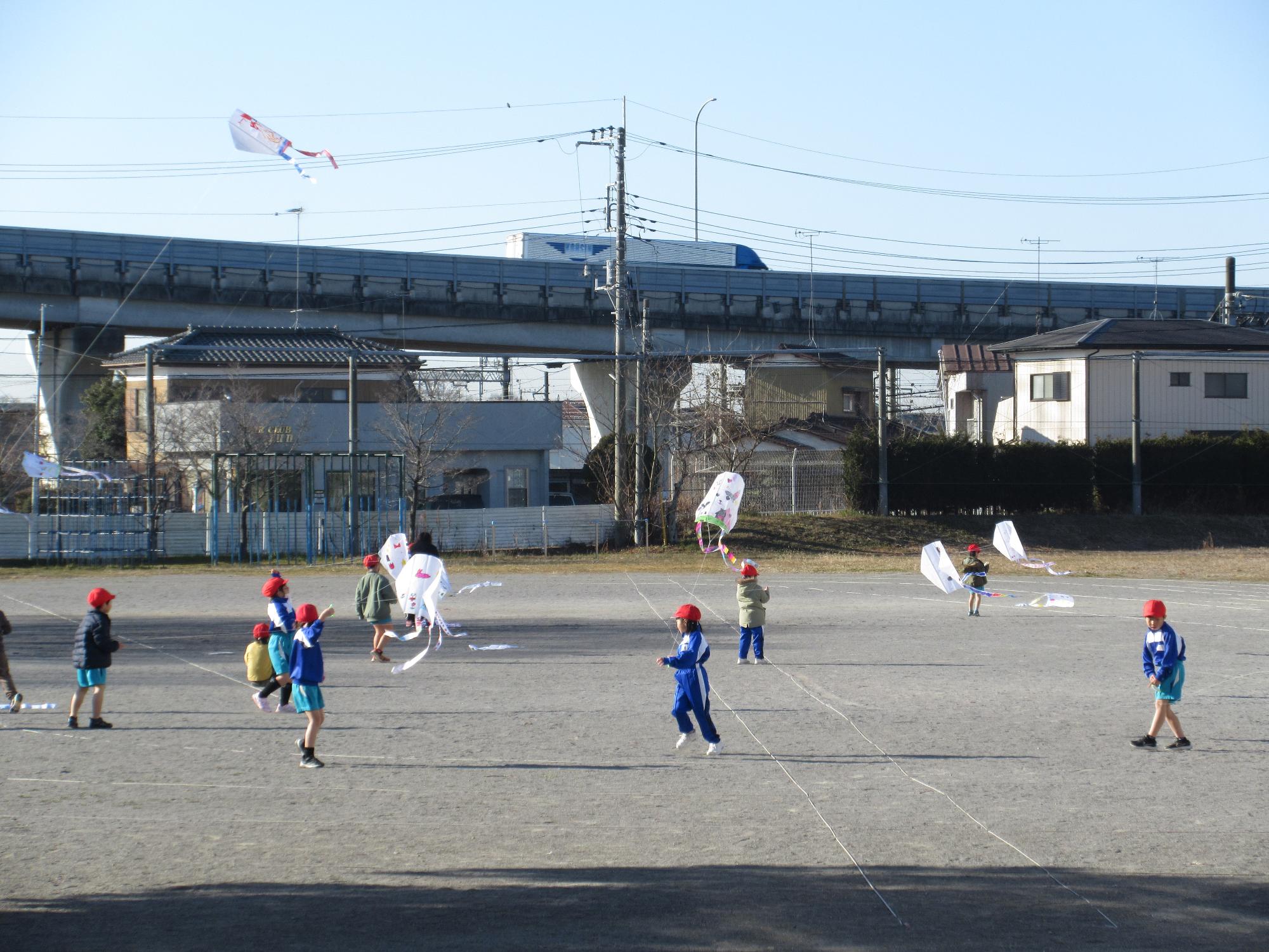 R6 1年生たこあげ